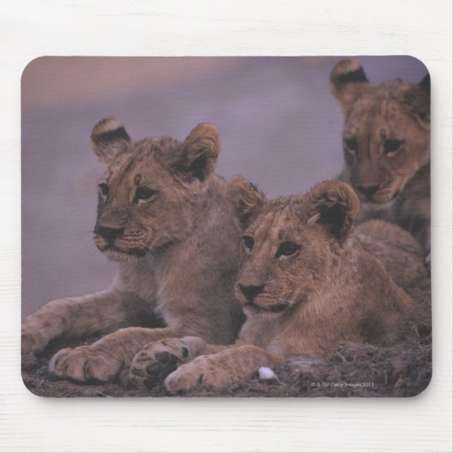 Mousepad Três Cubos De Leão (Frente)