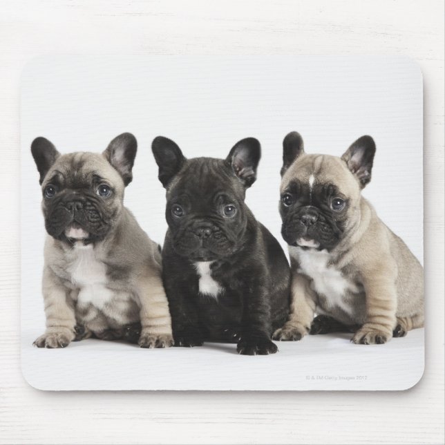Mousepad Três Cuppies de Pedigree (Frente)
