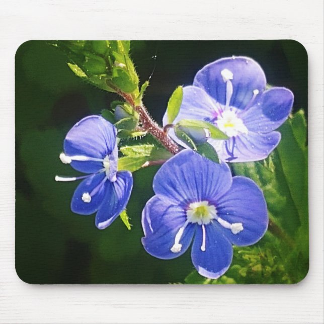 Mousepad Três Flores Azuis (Frente)