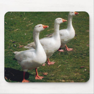 Mousepad Três gansos suportar - Mousemat. Personalize