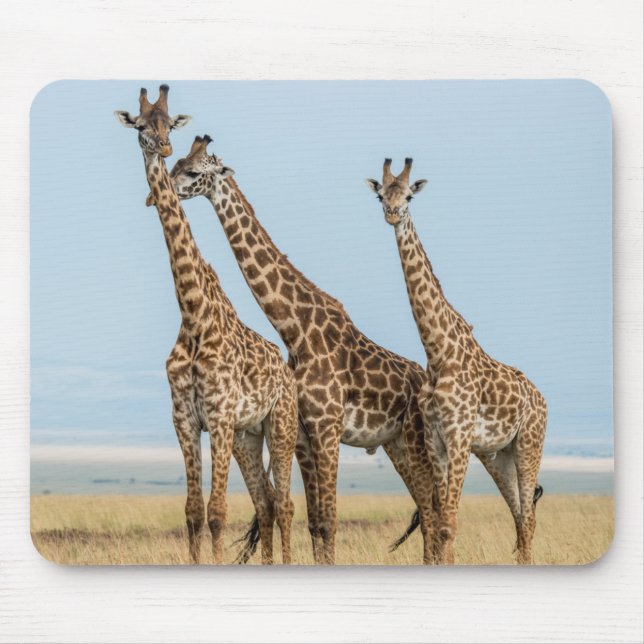 Mousepad Três girafas posando (Frente)