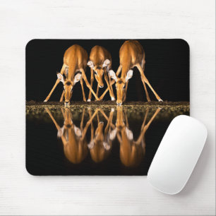 Mousepad Três impalas bebem juntos à noite