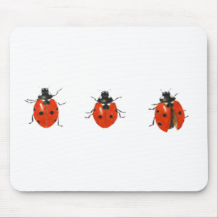 Mousepad Três joaninha 2013