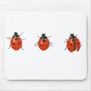 Mousepad Três joaninha 2013