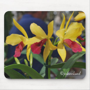 Mousepad Três Orquídeas Amarelas e Vermelhas
