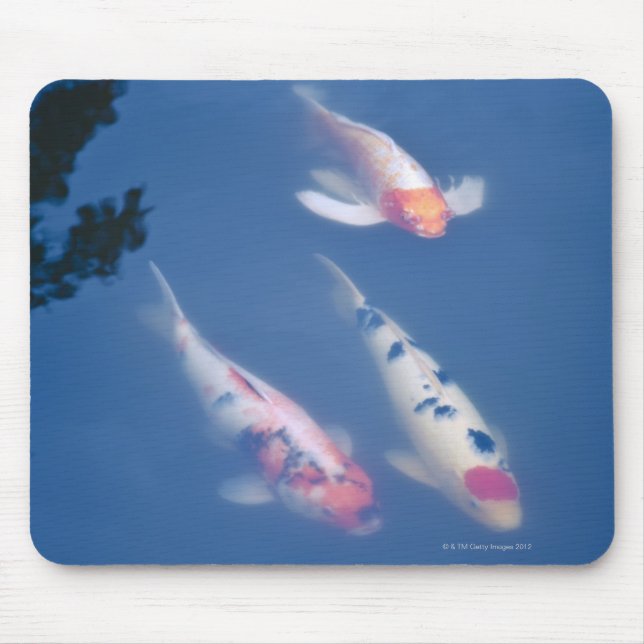 Mousepad Três peixes koi japoneses no lago (Frente)
