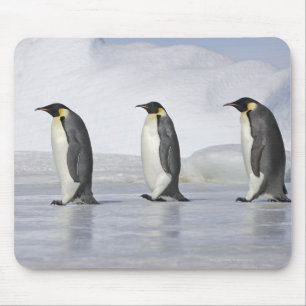 Mousepad Três pinguins de imperador, ilha do monte da neve