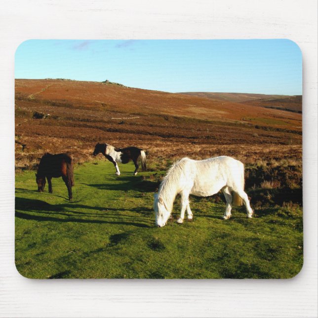 Mousepad Três pôneis em Dartmoor (Frente)