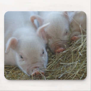Mousepad Três porcos pequenos