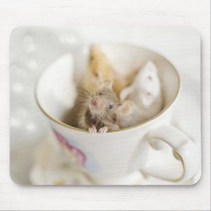 Mousepad Três ratos pequenos