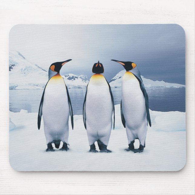 Mousepad Três rei pinguins (Frente)