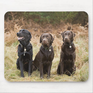 Mousepad Três retrievers de Labrador pretos