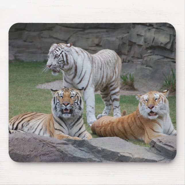 Mousepad Três tigres (Frente)