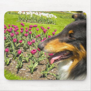 Mousepad Tri Collie N na proteção do mouse Tulips