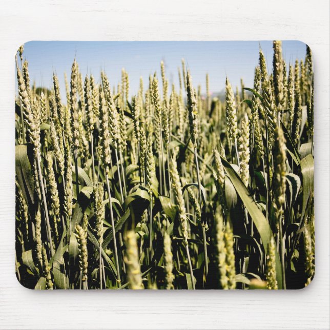 Mousepad Trigo (Frente)