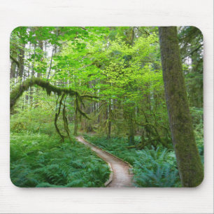 Mousepad Trilha Ancient Groves no Parque Nacional Olímpico