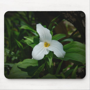 Mousepad Trilílio
