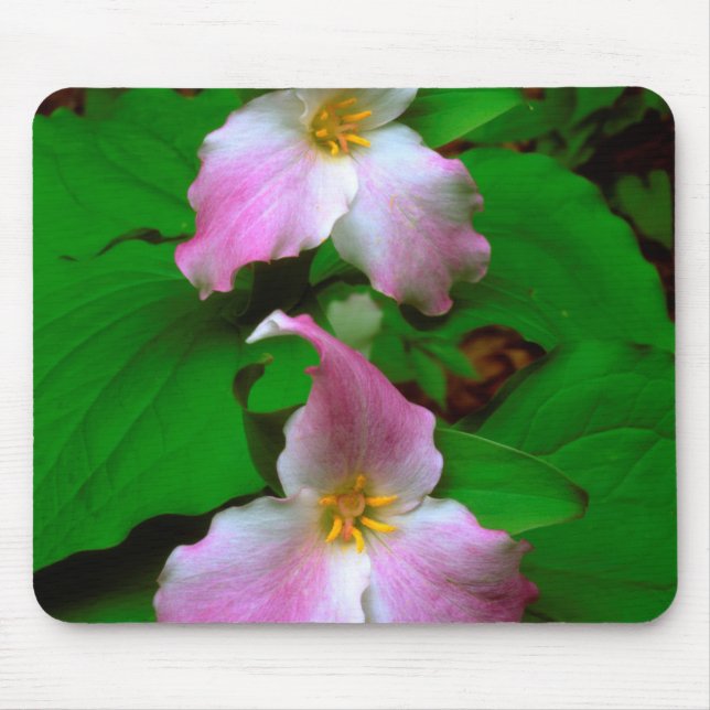 Mousepad Trilírio Flor Silvestre (Frente)