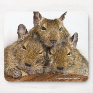 Mousepad Trio aplanando de Degu