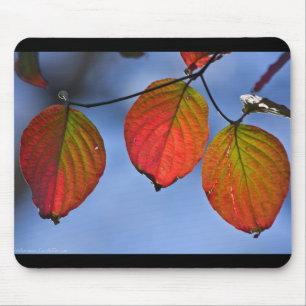 Mousepad Trio de Folhas de outono Iluminadas Coloridas