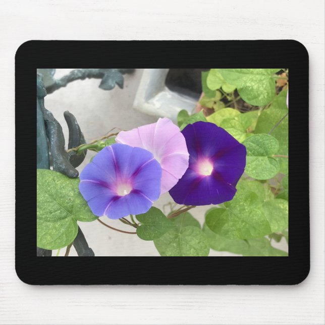 Mousepad Trio de Glória da Manhã (Frente)