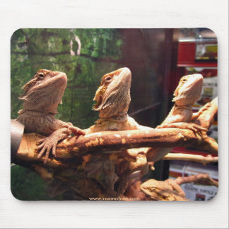 Mousepad Trio de Leezard