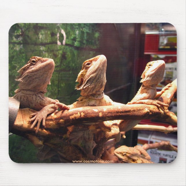 Mousepad Trio de Leezard (Frente)