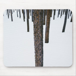 Mousepad Troncos de árvore na neve