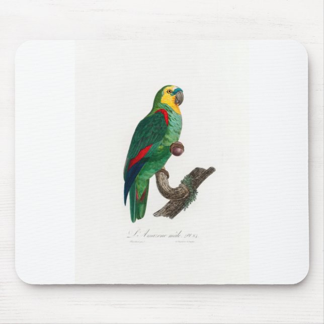 Mousepad tropical macaw parrot (Frente)