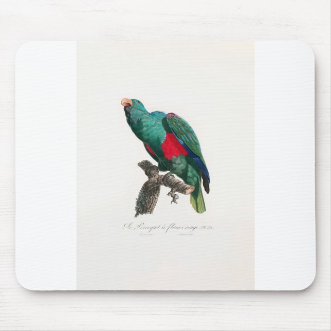 Mousepad tropical macaw parrot (Frente)