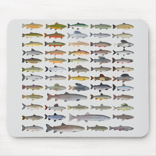Mousepad Trout, Char, Grayling, Hucho e Whitefish Group (Frente)