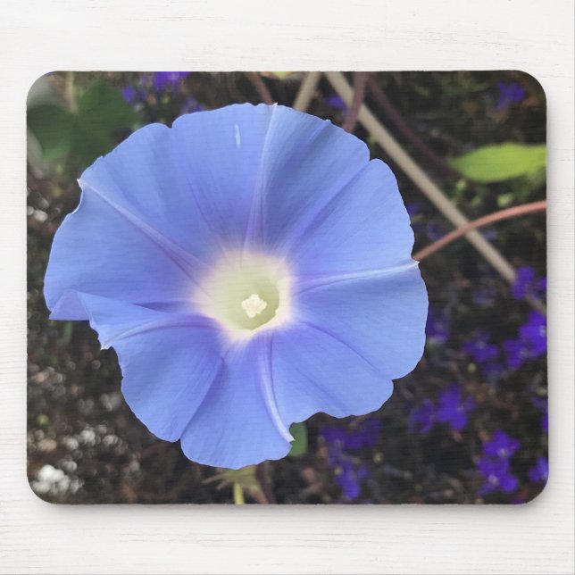 Mousepad True Blue Morning Glory Close-up  (Frente)