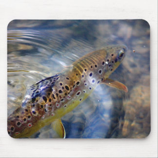 Mousepad Truta - pescando Mousemat