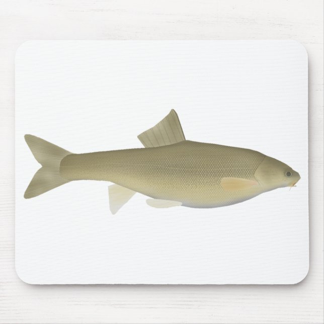 Mousepad Truta Sattar Snowtrut (Frente)