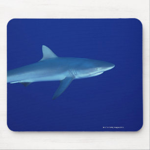 Mousepad Tubarão