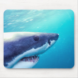 Mousepad Tubarão Branco   África do Sul