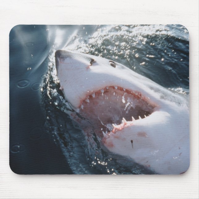 Mousepad Tubarão Branco no mar (Frente)
