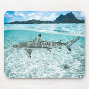 Mousepad Tubarão nas águas