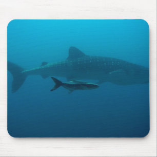 Mousepad Tubarões Peixes Oceano Água Tropical Praia Paz Amo
