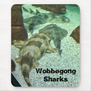 Mousepad Tubarões Wobbegong