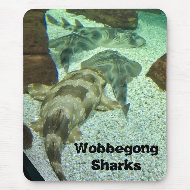 Mousepad Tubarões Wobbegong (Frente)