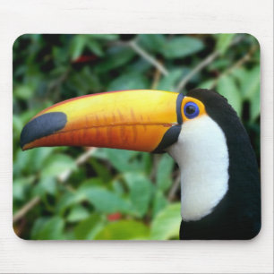 Mousepad Tucano-de-bico-amarelo