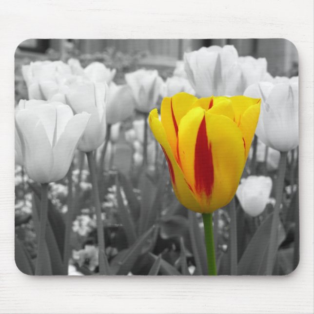 Mousepad Tuli isolada[ (Frente)
