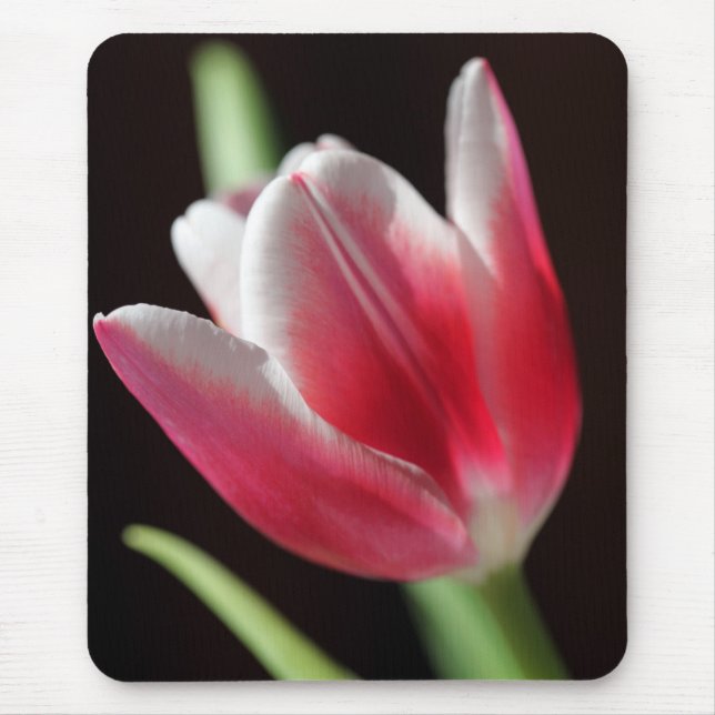 Mousepad Tulip (Frente)