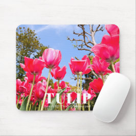 Mousepad Tulip