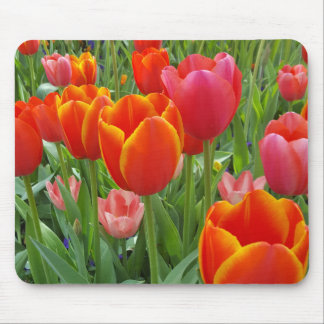 Mousepad Tulip