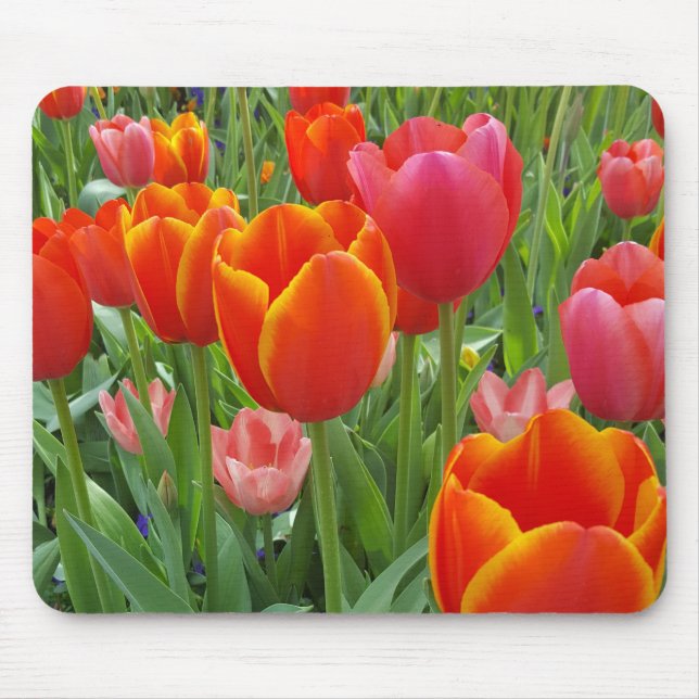 Mousepad Tulip (Frente)