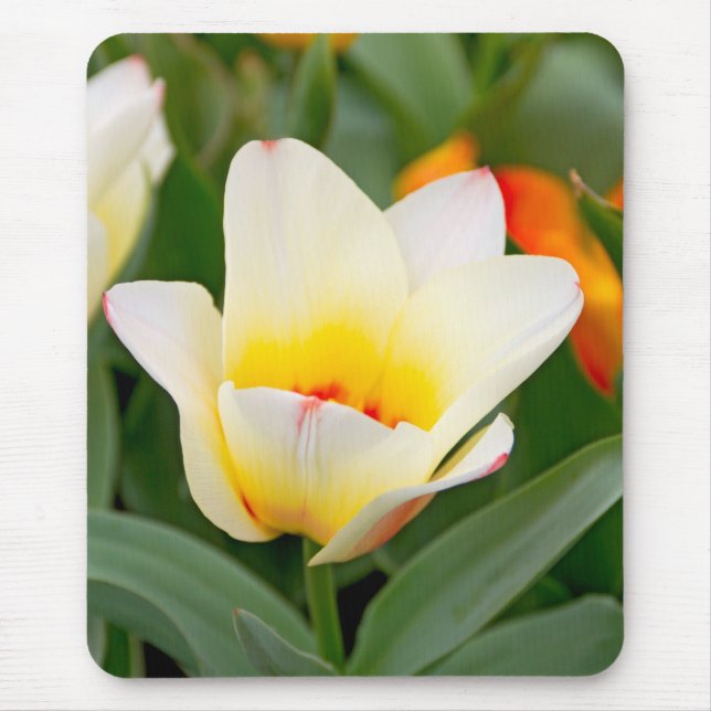 Mousepad Tulip (Frente)