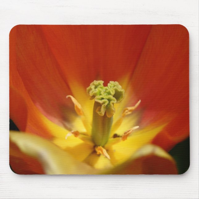 Mousepad Tulip Center (Frente)