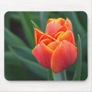 Mousepad Tulip laranja